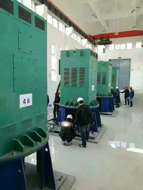 科尔沁右翼中某污水处理厂使用我厂的立式高压电机安装现场